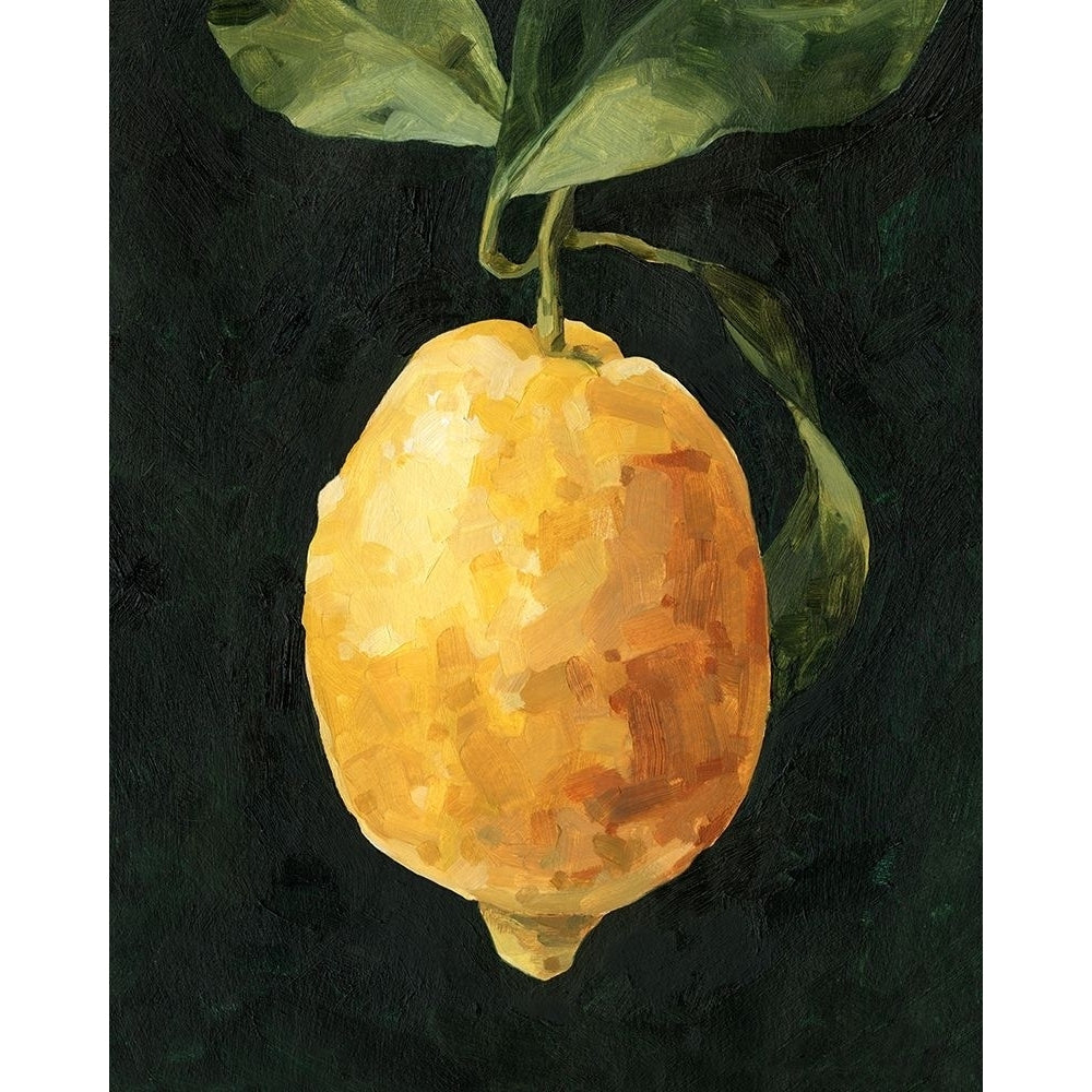 Dark Lemon I Poster Print - Emma Caroline-VARPDX172109Z Image 1