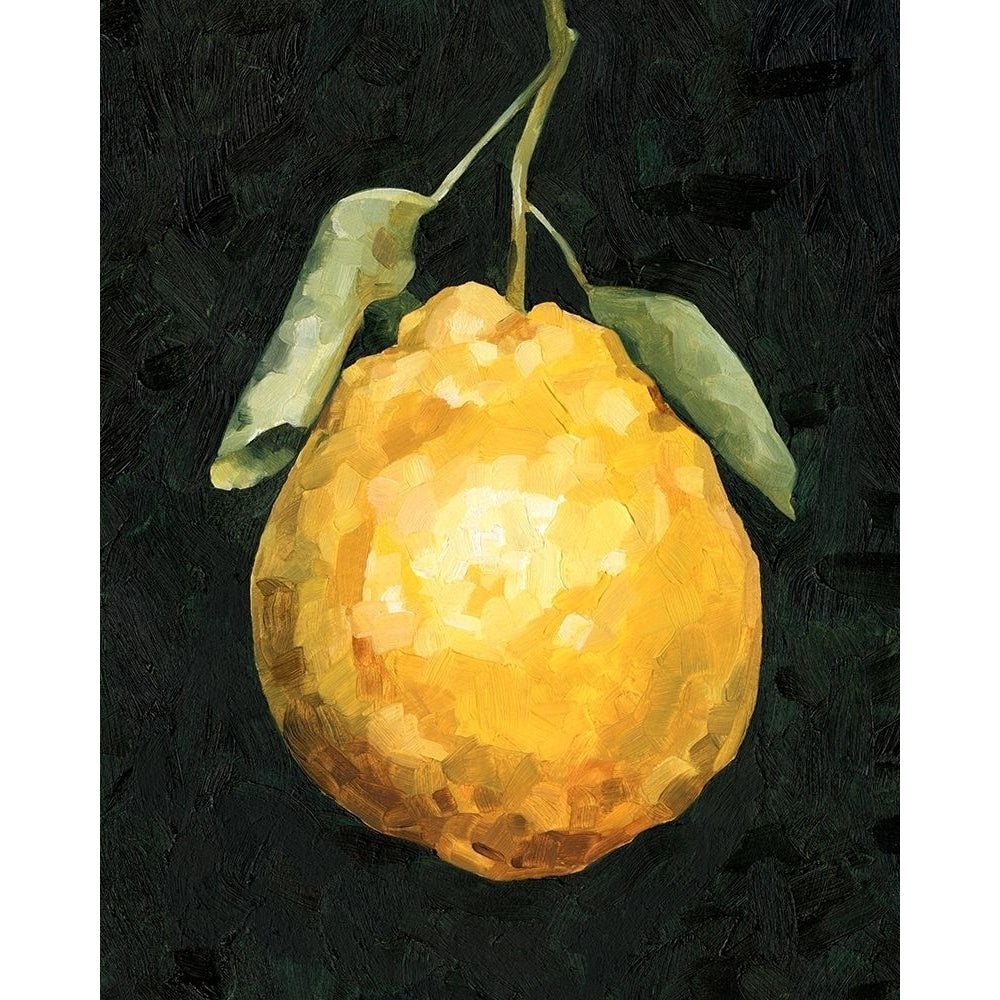 Dark Lemon II Poster Print - Emma Caroline-VARPDX172110Z Image 1