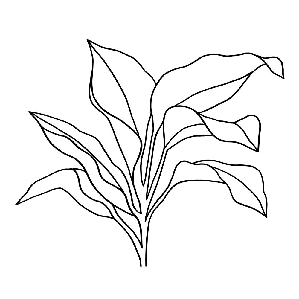 Foliage Contour I Poster Print - Annie Warren-VARPDX172387D Image 1