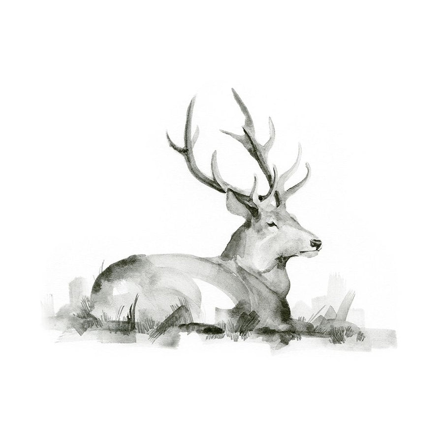 Recumbent Stag I Poster Print - Jacob Green-VARPDX172412D Image 1