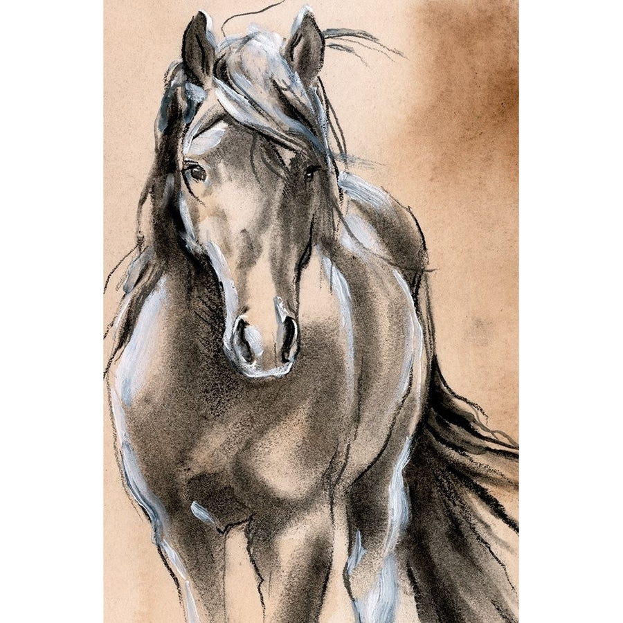 Sketched Horse II Poster Print - Jennifer Paxton Parker-VARPDX172391Z Image 1