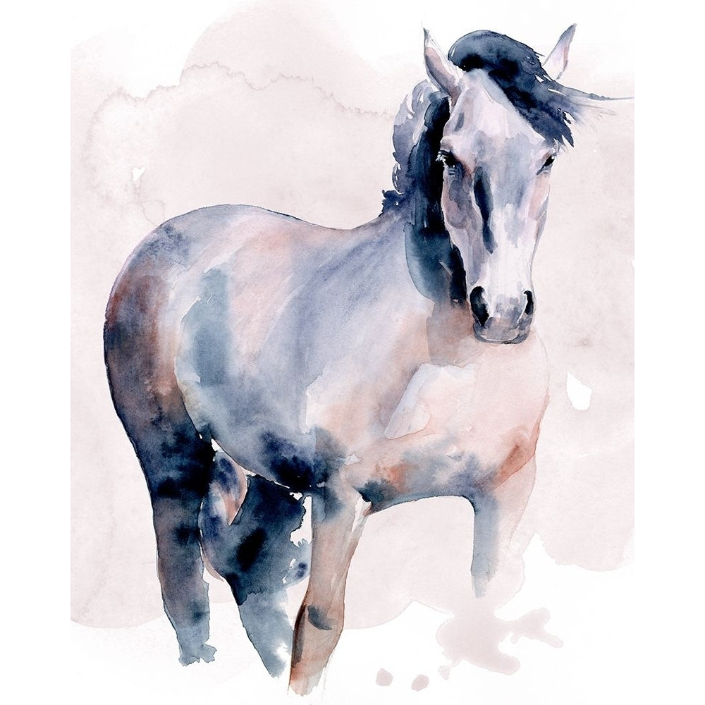 Horse in Watercolor I Poster Print - Jennifer Paxton Parker-VARPDX172503Z Image 1