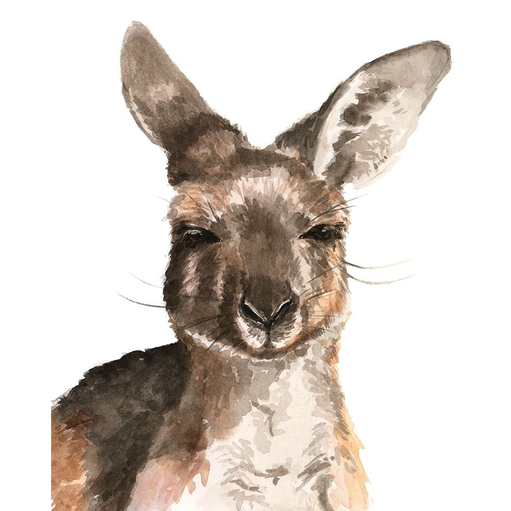 Kangaroo Portrait I Poster Print - Jennifer Paxton Parker-VARPDX172505Z Image 1