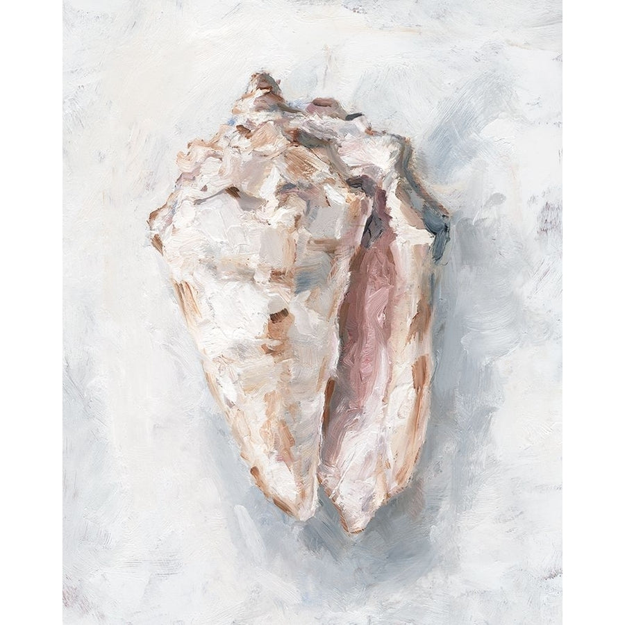 White Shell Study II Poster Print - Ethan Harper-VARPDX172535FN Image 1