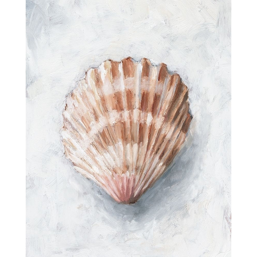 White Shell Study IV Poster Print - Ethan Harper-VARPDX172537FN Image 1