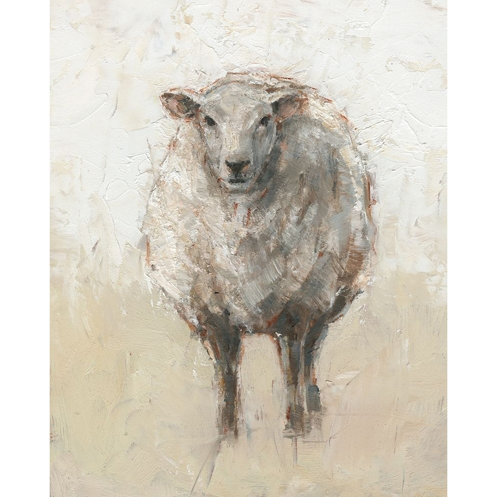 Fluffy Sheep I Poster Print - Ethan Harper-VARPDX172880Z Image 1