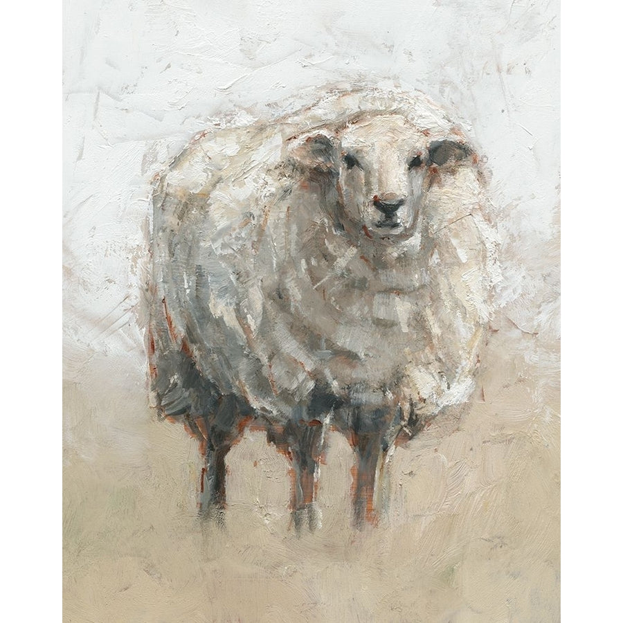 Fluffy Sheep II Poster Print - Ethan Harper-VARPDX172881Z Image 1