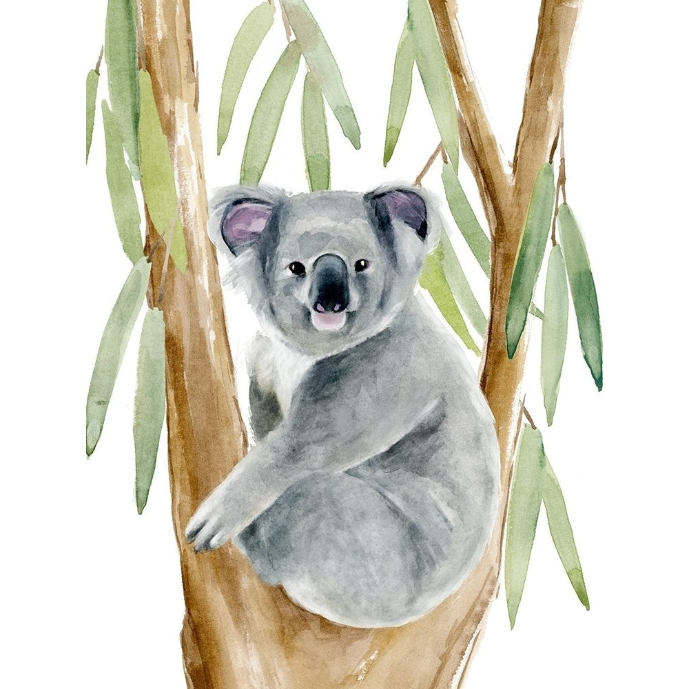 Woodland Koala II Poster Print - Annie Warren-VARPDX173019Z Image 1