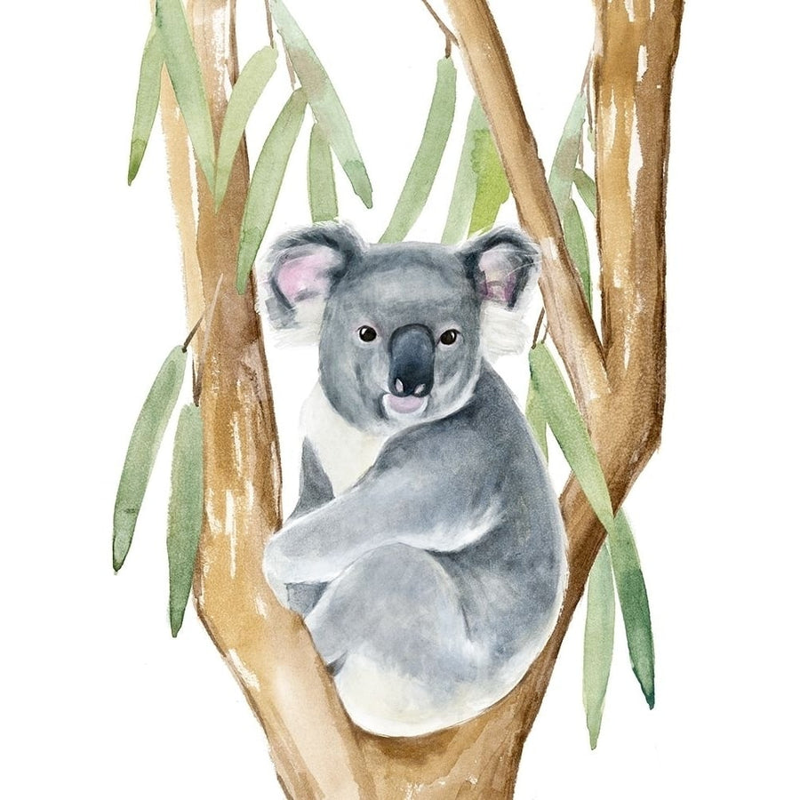 Woodland Koala I Poster Print - Annie Warren-VARPDX173018Z Image 1