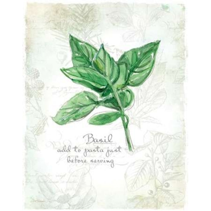 Fresh Basil Poster Print by Carol Robinson-VARPDX17352 Image 1