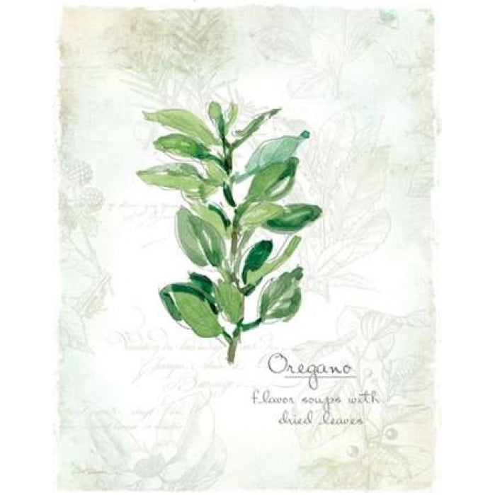 Fresh Oregano Poster Print by Carol Robinson-VARPDX17353 Image 1