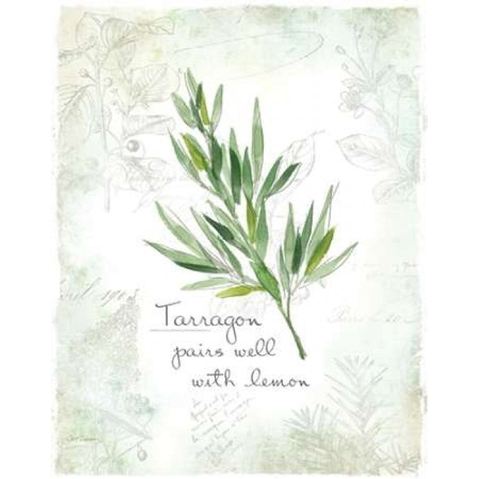 Fresh Tarragon Poster Print by Carol Robinson-VARPDX17355 Image 1