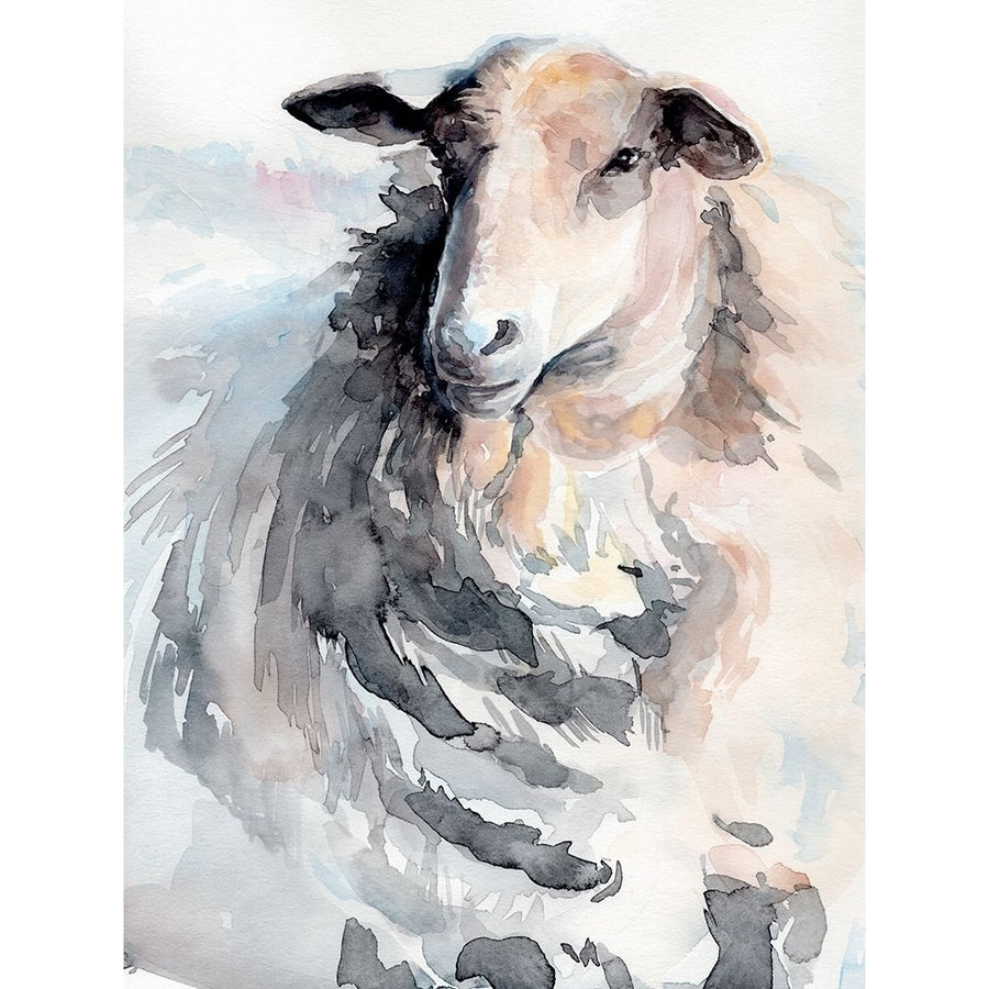 Watercolor Sheep II Poster Print - Jennifer Paxton Parker-VARPDX173724Z Image 1