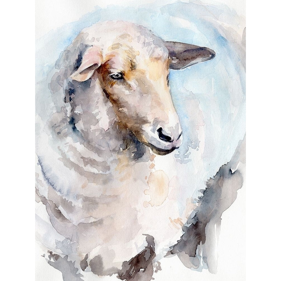 Watercolor Sheep I Poster Print - Jennifer Paxton Parker-VARPDX173723Z Image 1