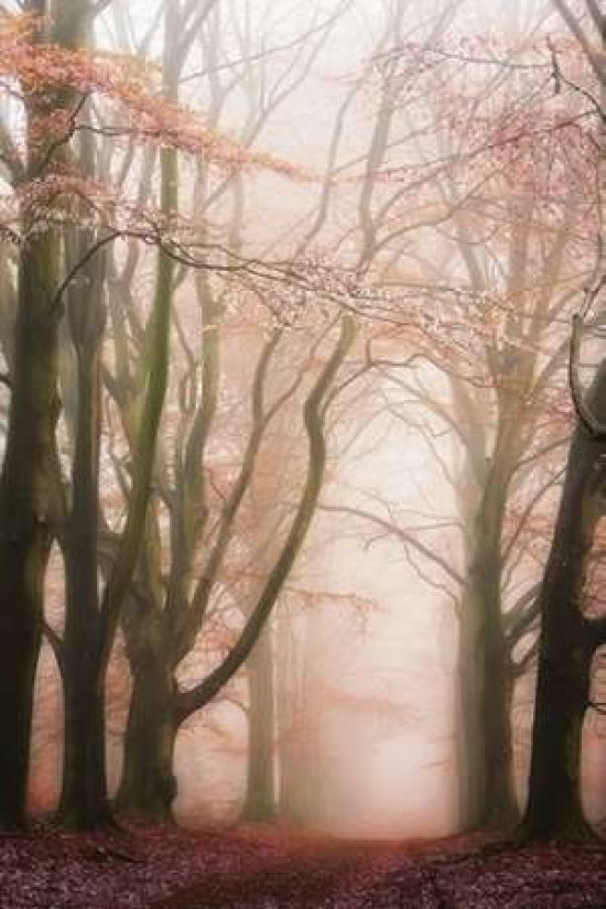 Pink Avenue Poster Print by Lars Van de Goor-VARPDX17372 Image 1