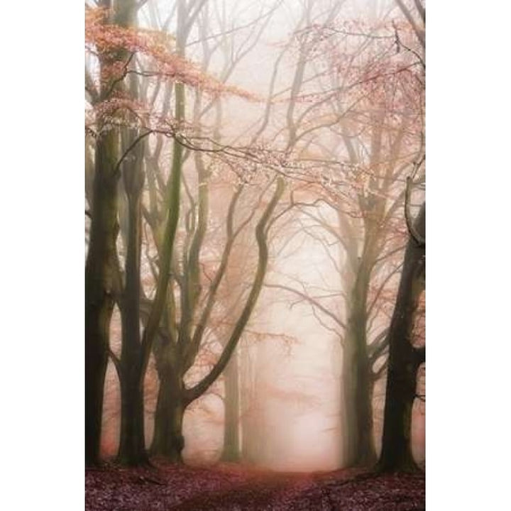 Pink Avenue Poster Print by Lars Van de Goor-VARPDX17372 Image 2