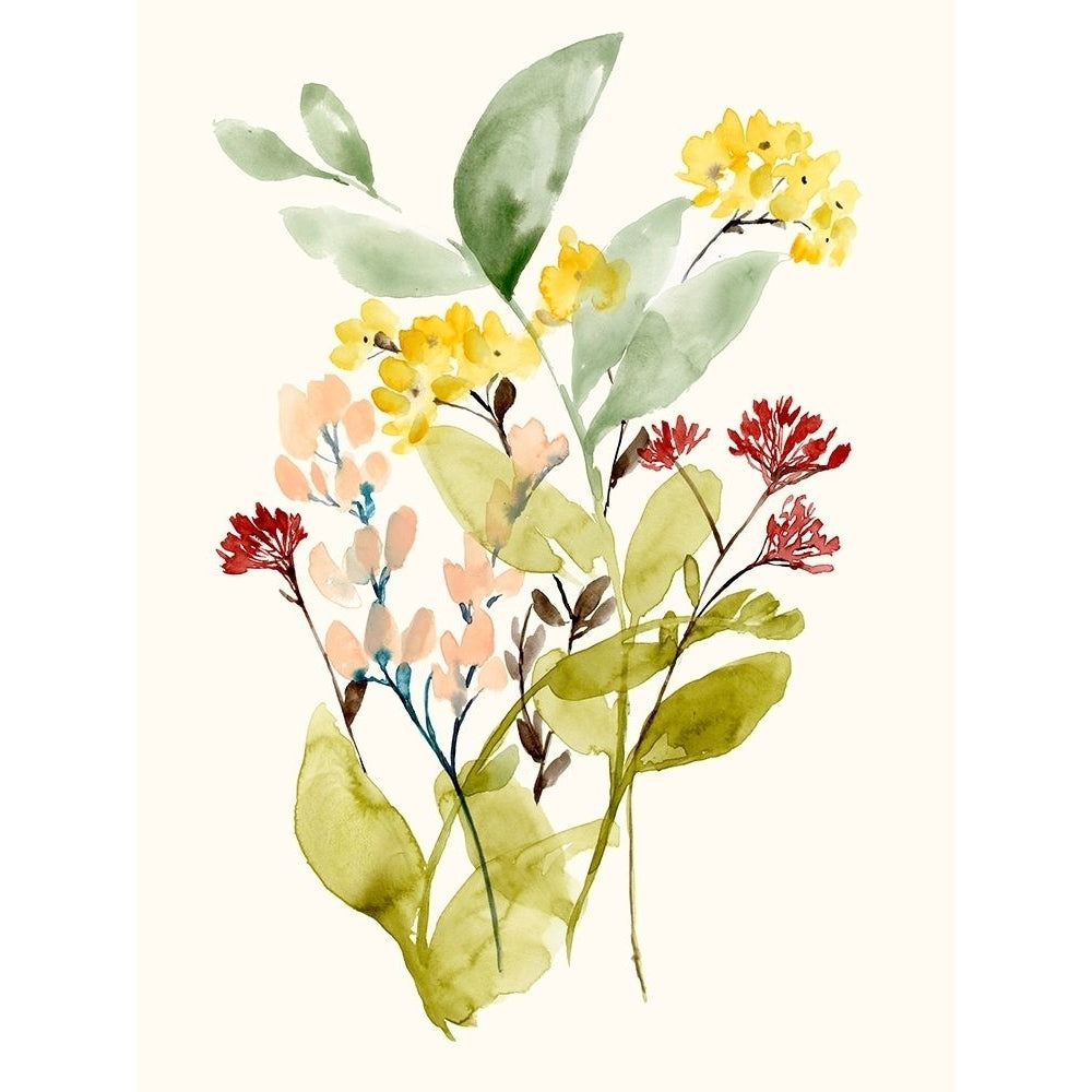 Spring Sprigs I Poster Print - Jennifer Goldberger-VARPDX173936FN Image 1