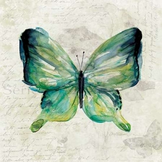 Butterfly Sketch Poster Print by Carol Robinson-VARPDX17397 Image 2