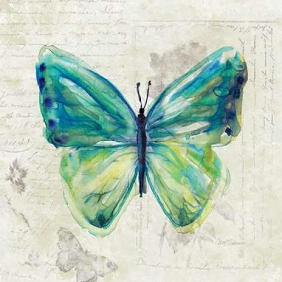 Butterfly Sketch Poster Print by Carol Robinson-VARPDX17399 Image 1