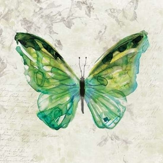 Butterfly Sketch Poster Print by Carol Robinson-VARPDX17398 Image 2