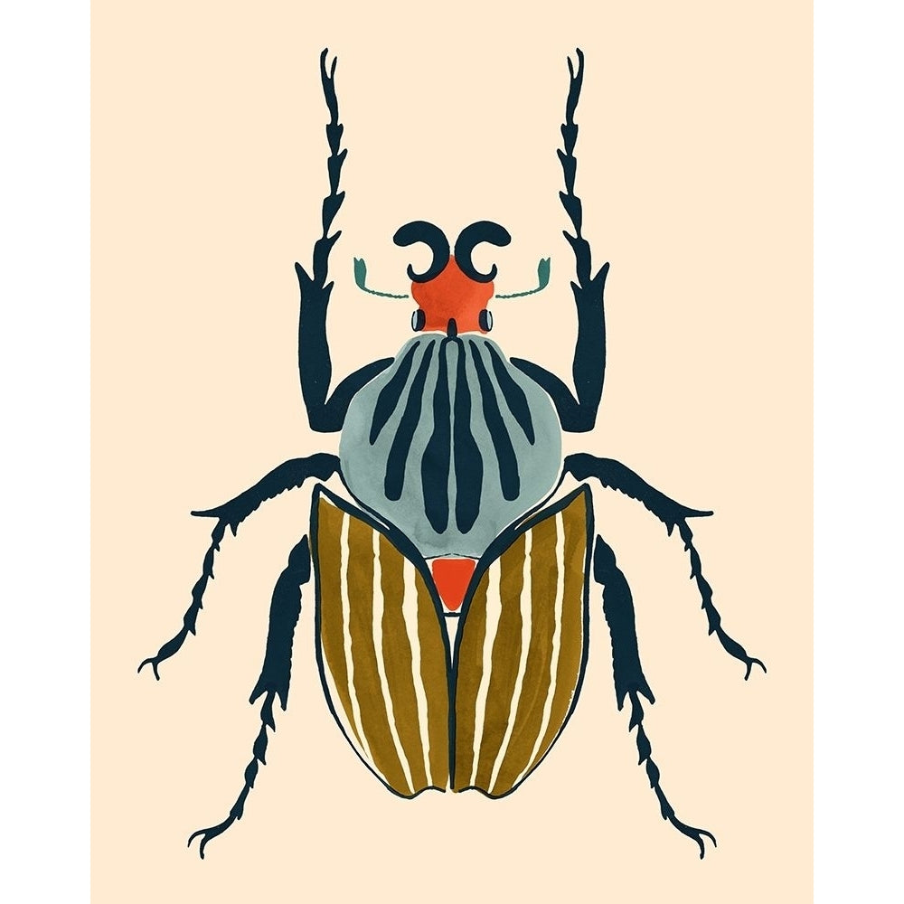 Beetle Bug I Poster Print - Victoria Barnes-VARPDX174352Z Image 1