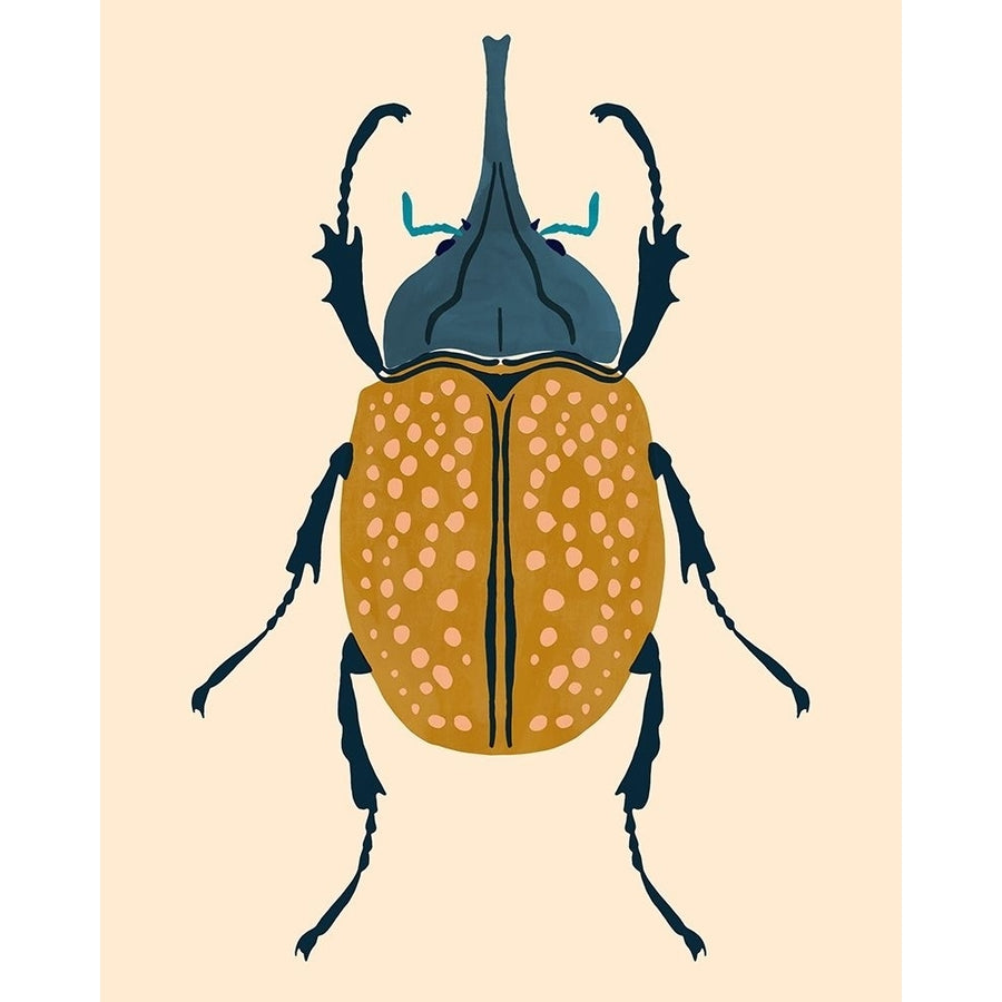 Beetle Bug II Poster Print - Victoria Barnes-VARPDX174353Z Image 1