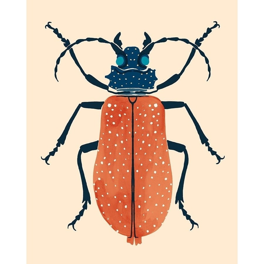 Beetle Bug III Poster Print - Victoria Barnes-VARPDX174354Z Image 1