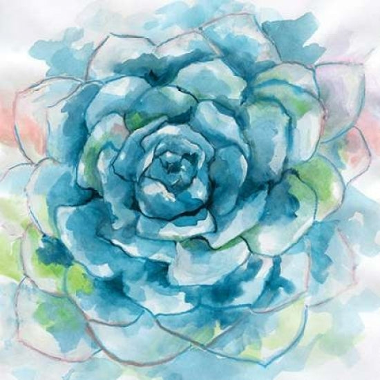 Succulent Bloom Poster Print by Nan-VARPDX17434 Image 1