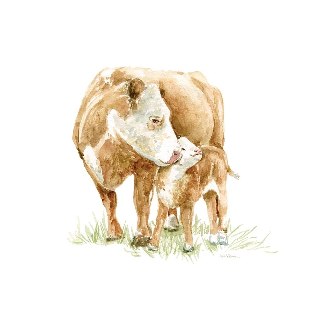 Cow And Calf Poster Print by Carol Robinson-VARPDX17442 Image 1