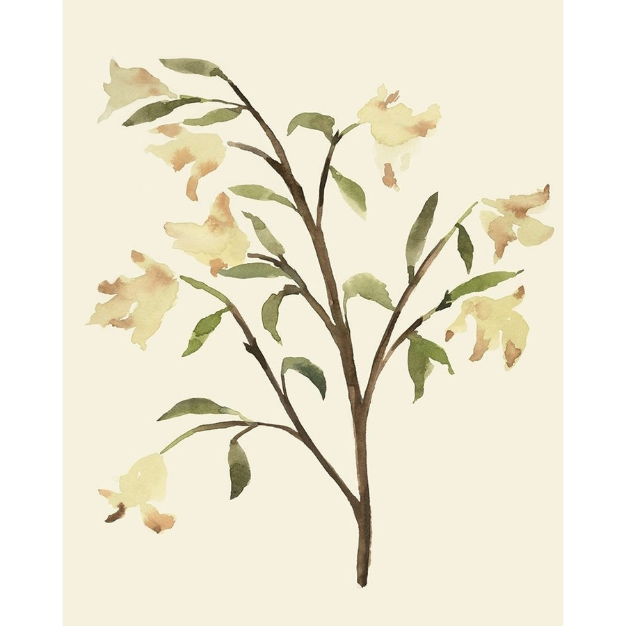 Blest Branch I Poster Print - Annie Warren-VARPDX174478Z Image 1