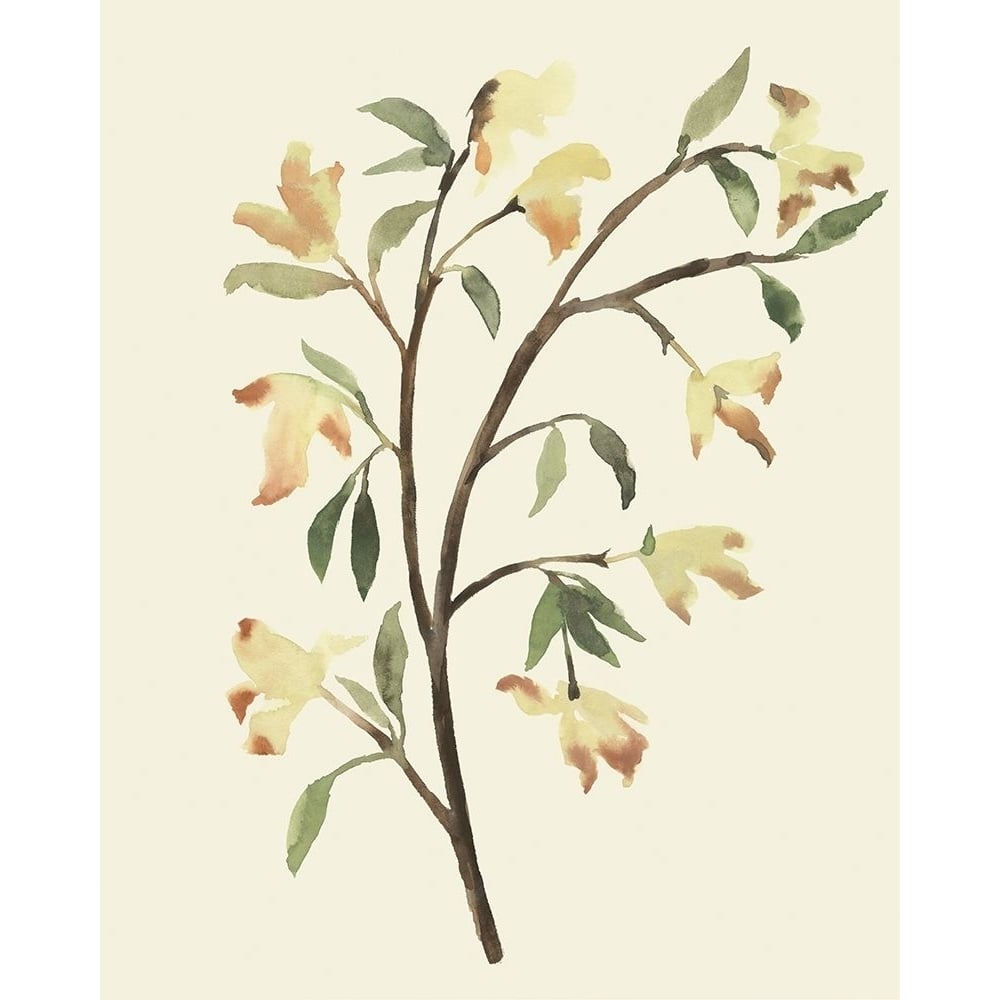 Blest Branch II Poster Print - Annie Warren-VARPDX174479Z Image 1