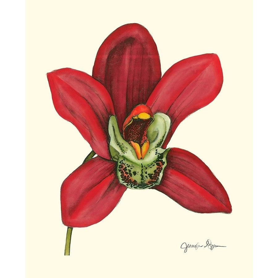 Majestic Orchid III Poster Print - Jennifer Goldberger-VARPDX17453Z Image 1