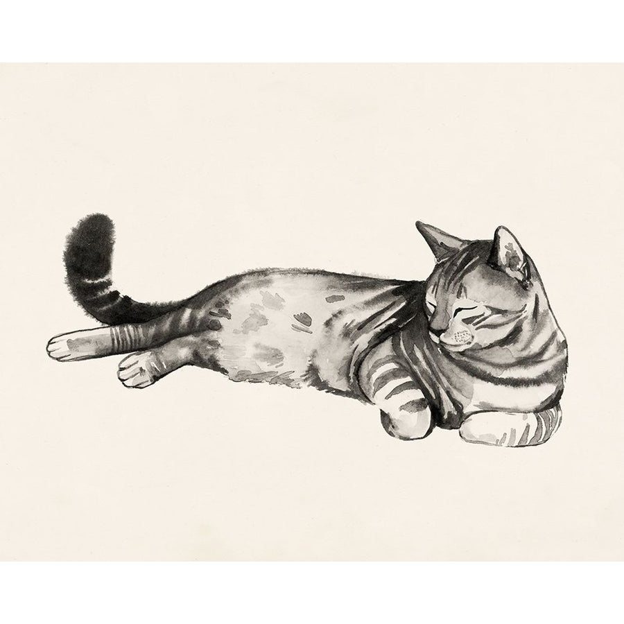 Cat Laze II Poster Print - Grace Popp-VARPDX174548Z Image 1