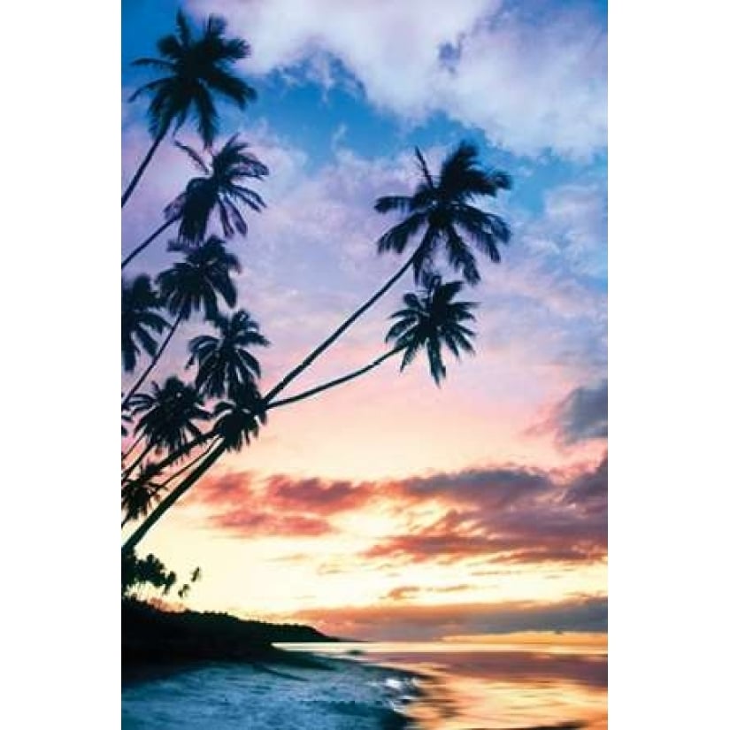 Molokai Palms At Poster Print by Danita Delimont-VARPDX17454 Image 2