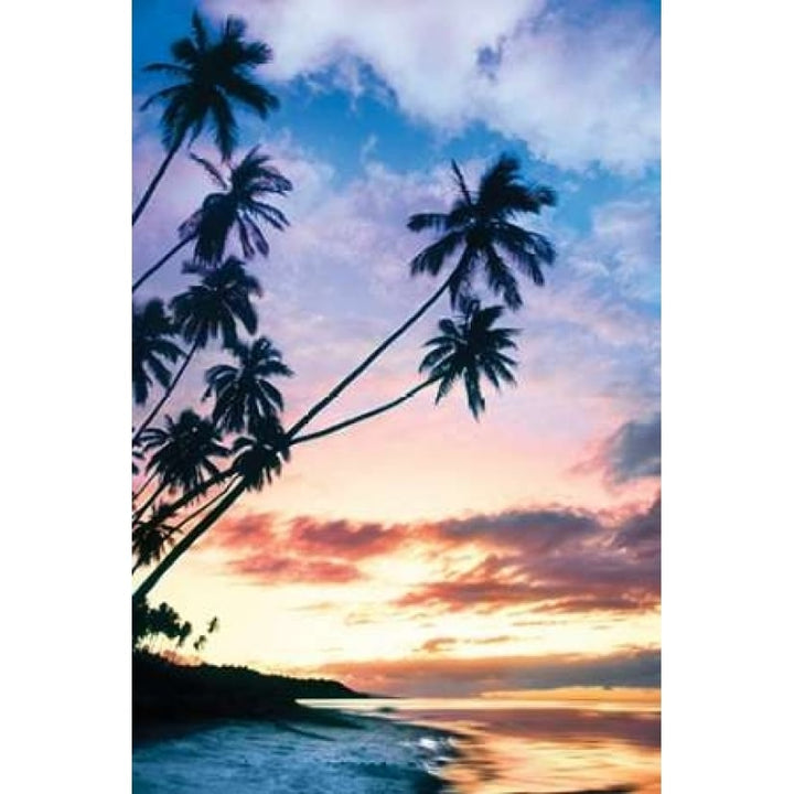 Molokai Palms At Poster Print by Danita Delimont-VARPDX17454 Image 1