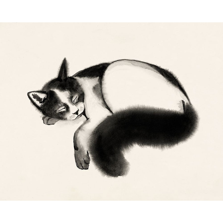 Cat Laze I Poster Print - Grace Popp-VARPDX174547Z Image 1