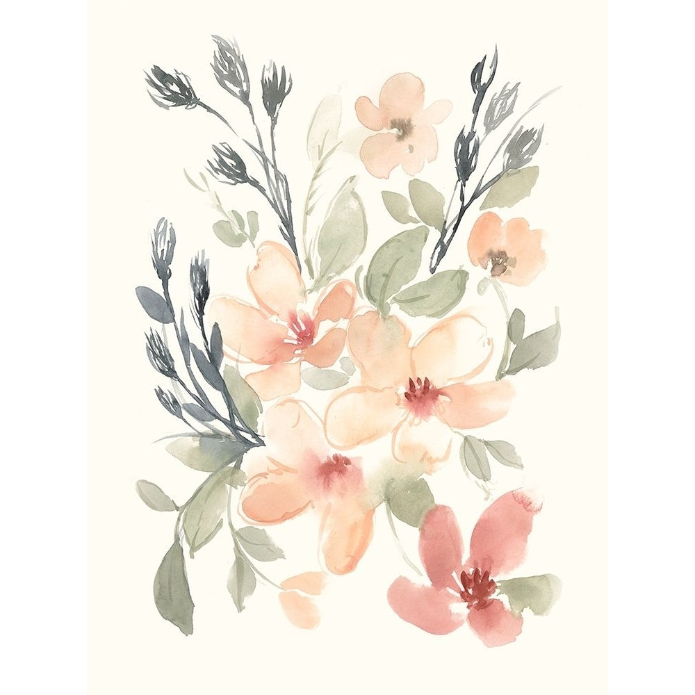 Peachy Pink Blooms I Poster Print - Jennifer Goldberger-VARPDX174564FN Image 1