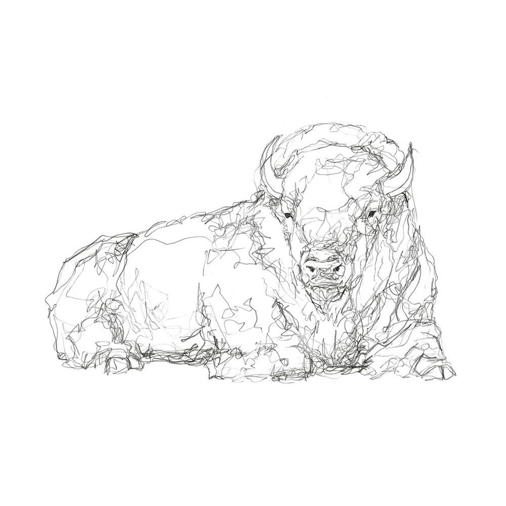 Bison Contour Sketch I Poster Print - Ethan Harper-VARPDX174630Z Image 1