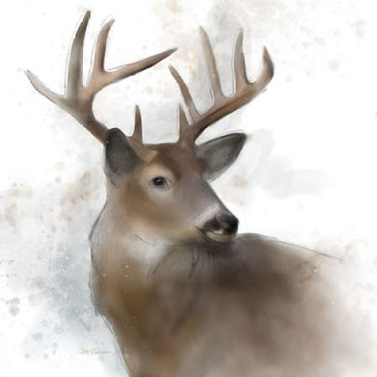 Rainsoft Deer Poster Print by Carol Robinson-VARPDX17470 Image 1