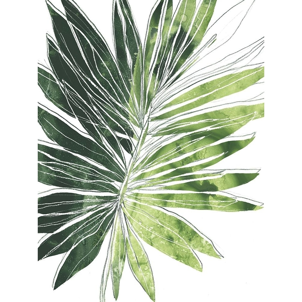 Expressive Palm I Poster Print - June Erica Vess-VARPDX174696Z Image 1