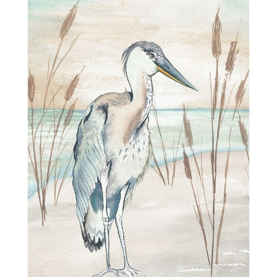 Heron By Beach Grass I Poster Print - Elizabeth Medley-VARPDX17484D Image 1