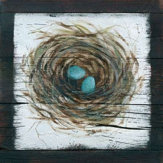 Stained Nest Poster Print by Carol Robinson-VARPDX17479 Image 1