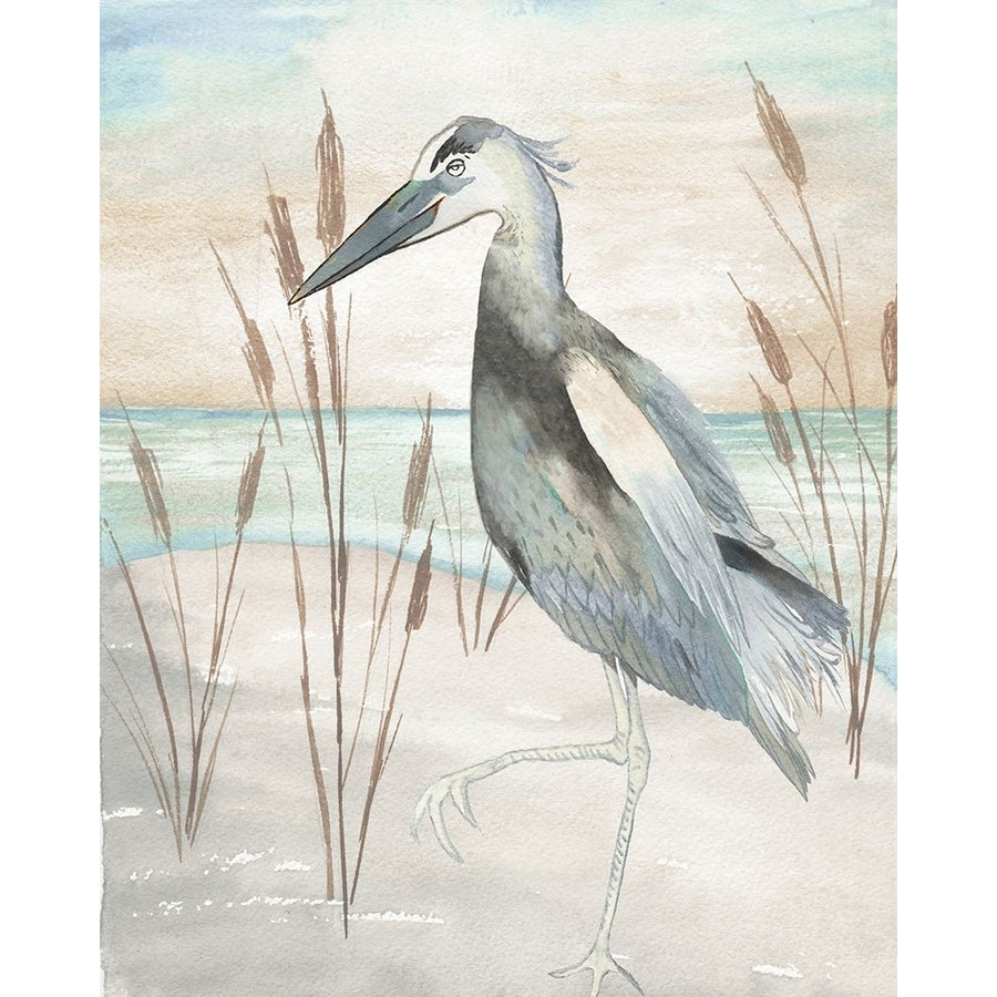 Heron by Beach Grass II Poster Print - Elizabeth Medley-VARPDX17484F Image 1