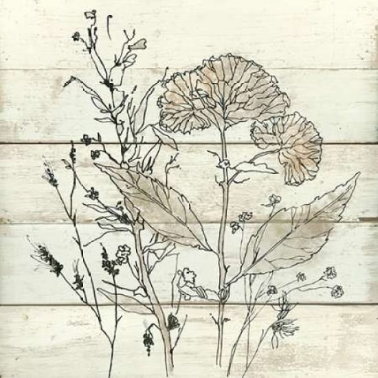 Dried Flower Study Poster Print by Carol Robinson-VARPDX17484 Image 1