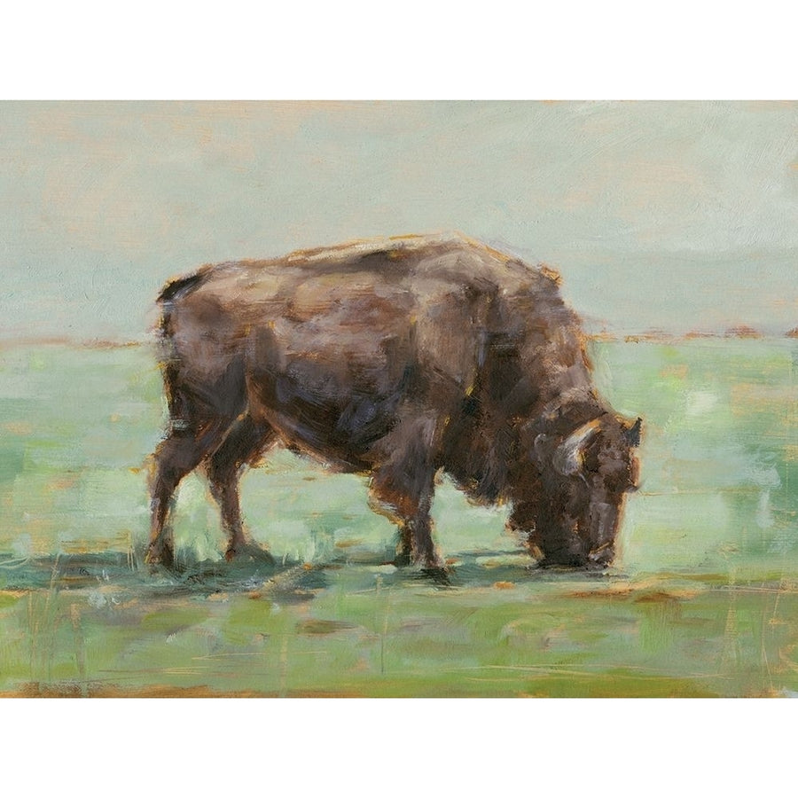 Where the Buffalo Roam I Poster Print - Ethan Harper-VARPDX175202FN Image 1