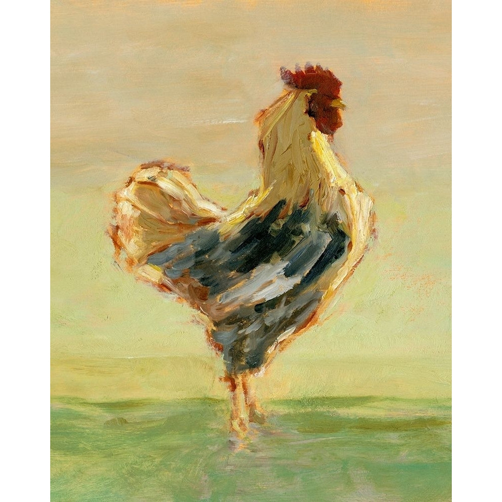 Sunlit Rooster I Poster Print - Ethan Harper-VARPDX175279FN Image 1