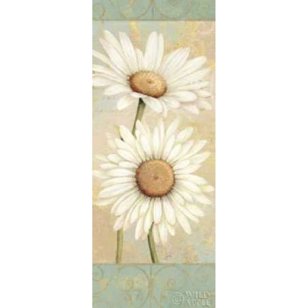 Beautiful Daisies I Poster Print by Daphne Brissonnet-VARPDX1753 Image 1