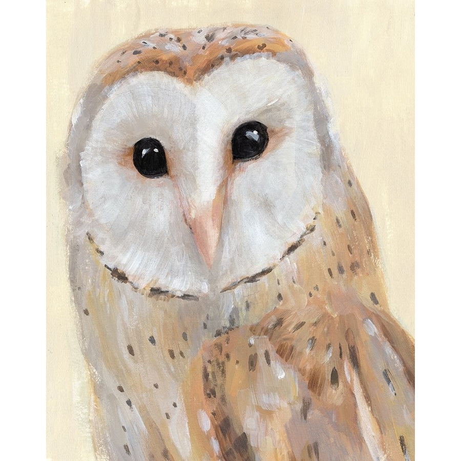 Common Barn Owl I Poster Print - Annie Warren-VARPDX175464Z Image 1