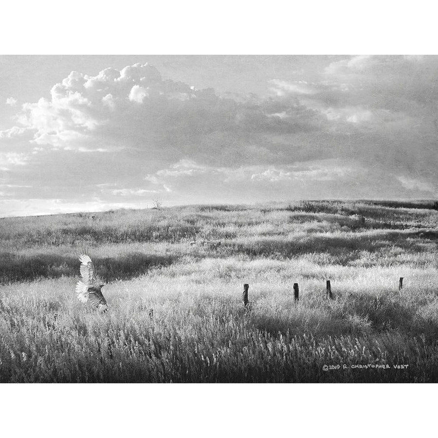 Fence Line Flight I Poster Print - Chris Vest-VARPDX175466Z Image 1