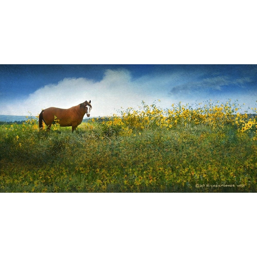 Horse in Flowers I Poster Print - Chris Vest-VARPDX175470Z Image 1